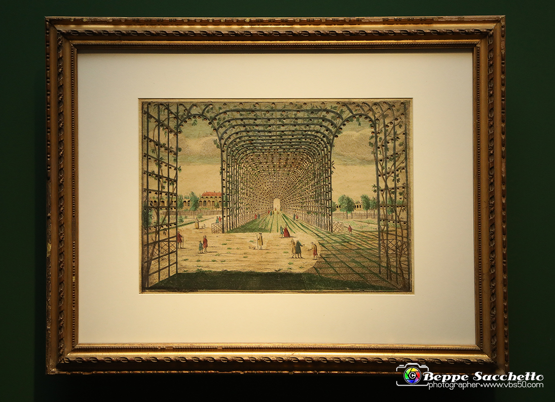 VBS_1198 - Castello di Miradolo - Mostra Oltre il giardino l'Abbecedario di paolo Pejrone.jpg